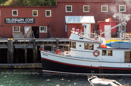 Telegraph Cove